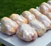 Food Grade frozen Poultry 10*16 Inch Chicken Packaging Shrink Bags
