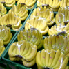 Food Grade PVC Stretch Food Packing Cling Film For Automatic Packaging Machine